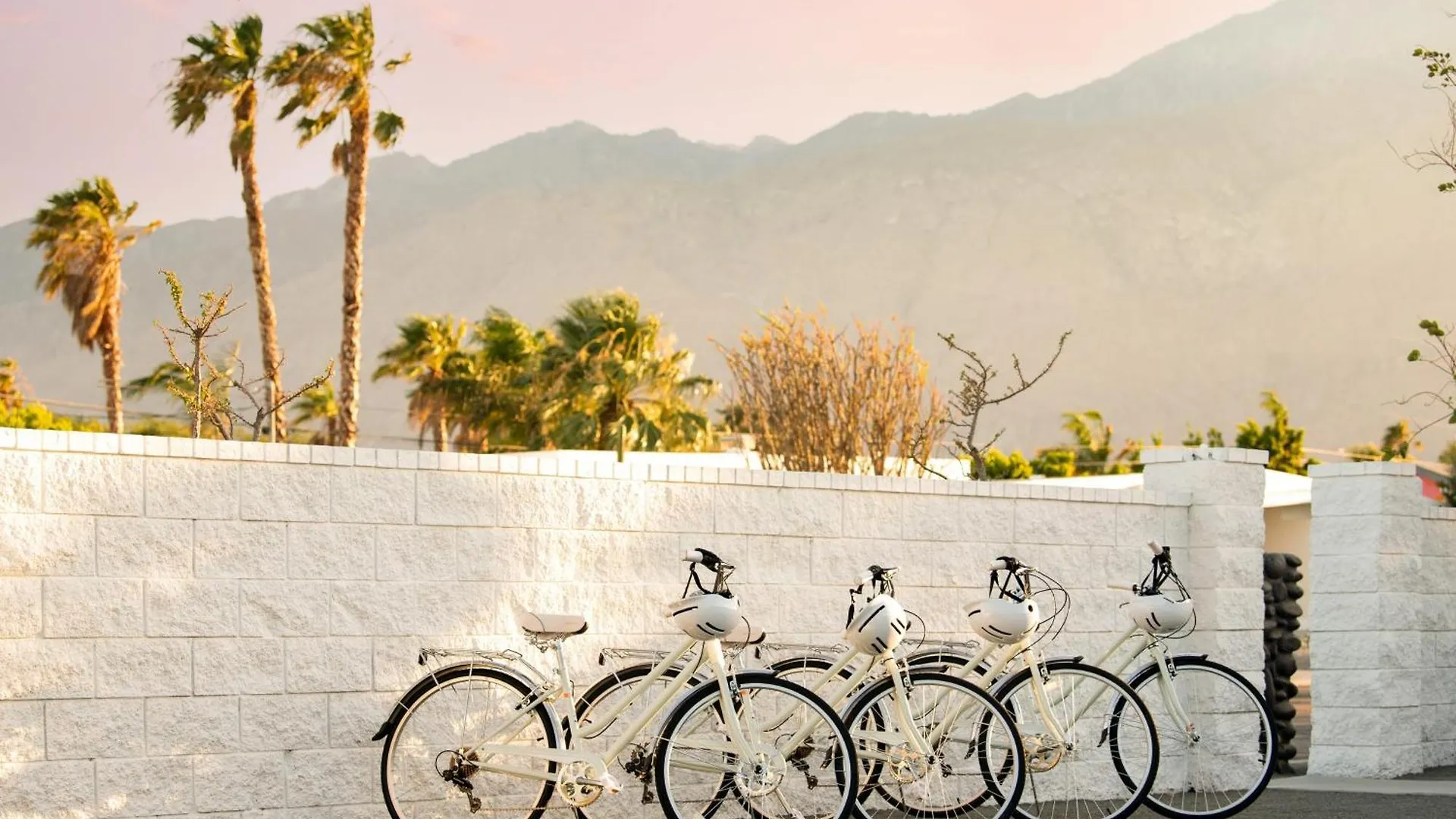 Yellowjacket By Avantstay Entertainer'S Yard 20Min 2 Coachella Valley Preserve Str Permit5161 Palm Springs